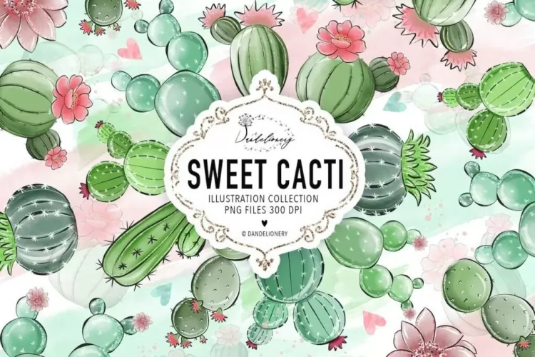Cactus Doce – Kit Digital